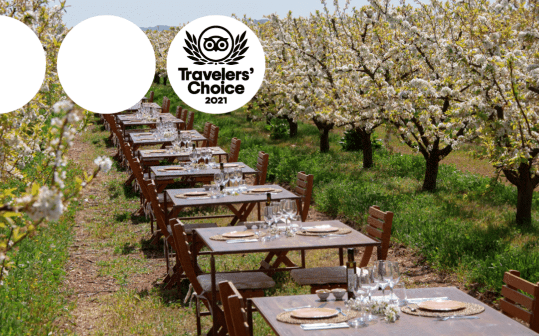 Terragust, ganadora del premio #TravellersChoice de Tripadvisor