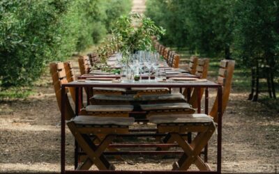 Abrimos las puertas del campo: una experiencia para conocer de cerca nuestros cultivos